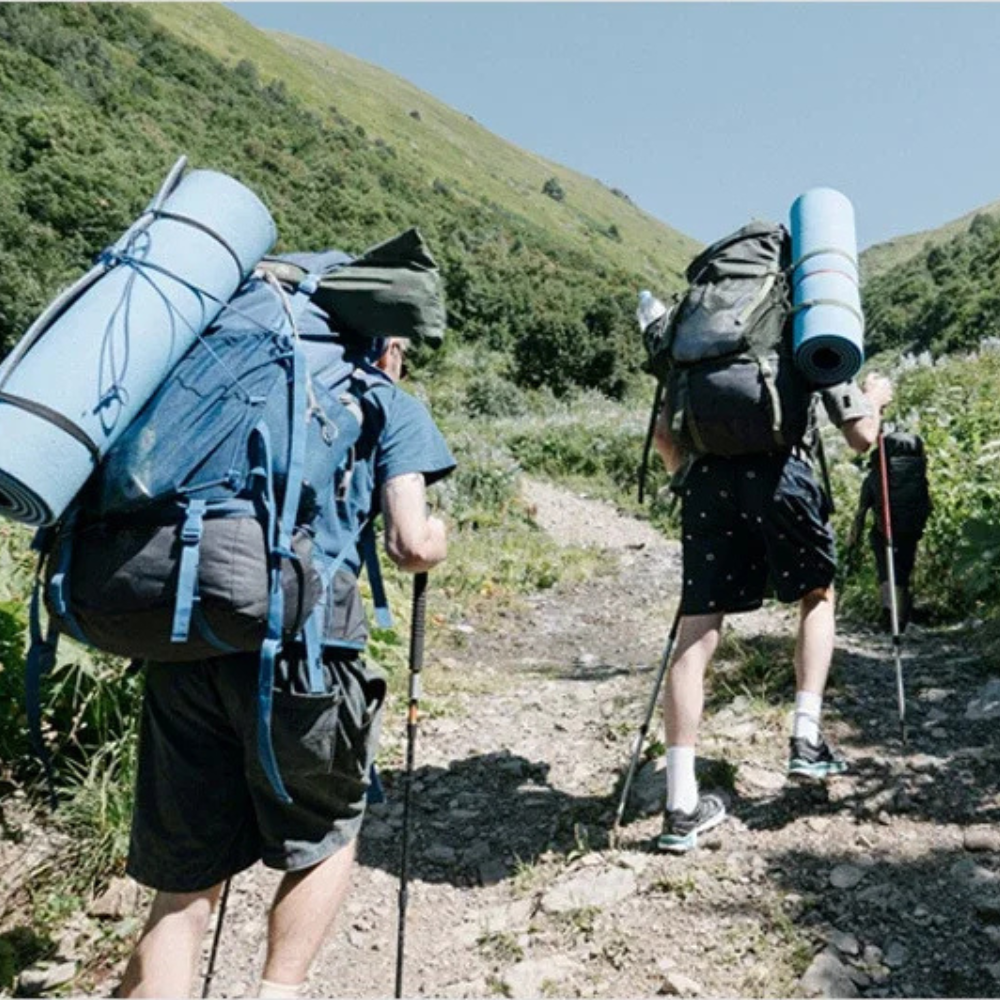 Pack de 2 Bâtons de Randonnée Télescopiques Ultralégers